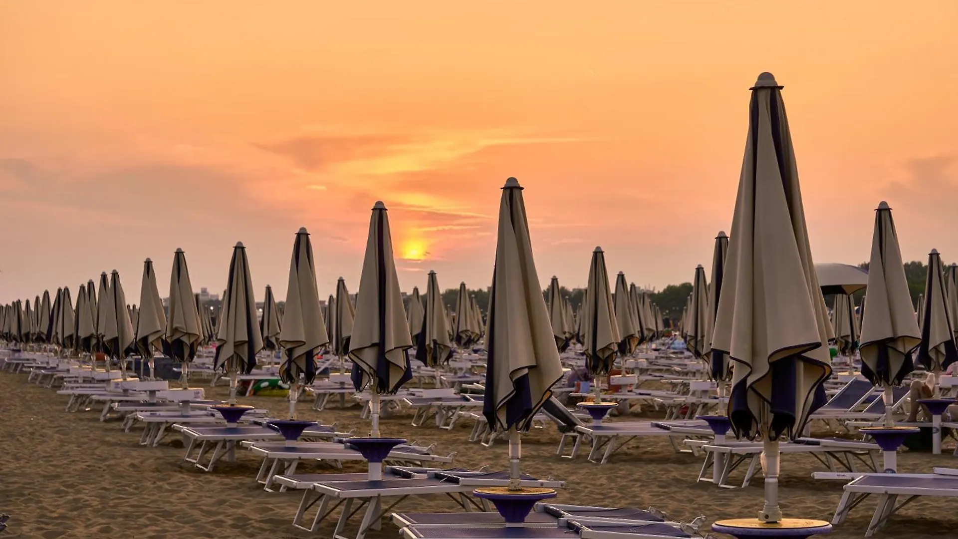 公寓 Your Garden Heaven In The Heart Of Lido Dei Pini 比比翁 意大利